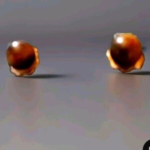 Tigars eye post earrings